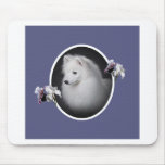 American Eskimo Pretty Face Mousepads