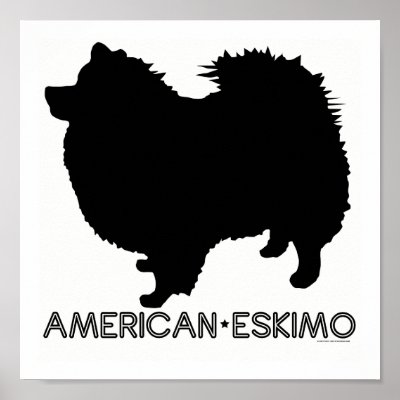 American Eskimo Print by dogsilhouettes