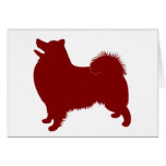 American Eskimo (Red) Cards