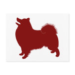 American Eskimo (Red) Postcard
