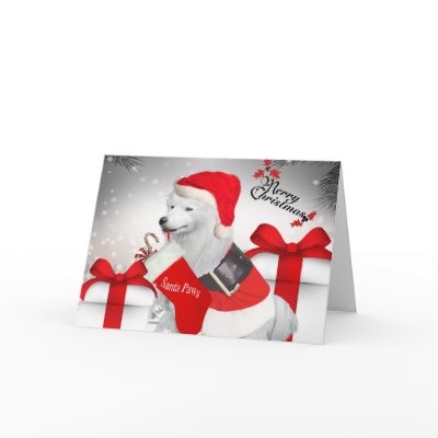 American Eskimo Santa Paws cards by friskybiz