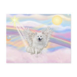 American Eskimo Spitz Post Card