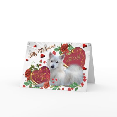 American Eskimo Valentine MOM by friskybiz