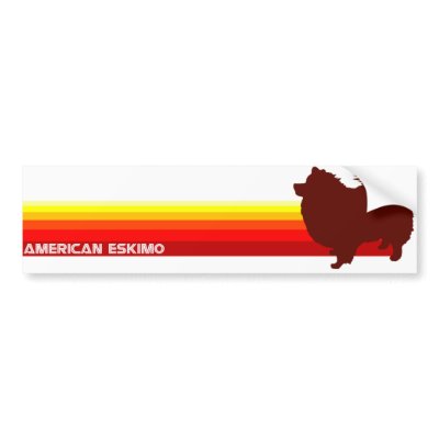 American Eskimo With Stripes Bumper Sticker by dogsilhouettes