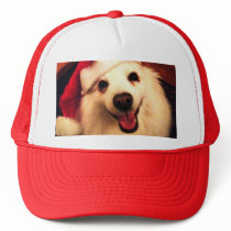 American eskimos hats