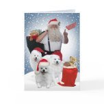 American Eskimo's Santa's Helpers cards