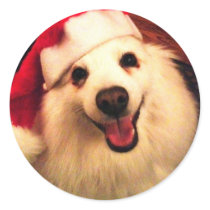 American eskimos sticker