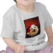 American eskimos t-shirt