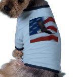 American flag and eagle