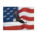 American flag and eagle