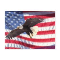 American Flag and Eagle Postcard