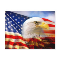 American Flag Bald Eagle Post Cards