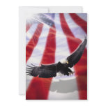 American Flag & Eagle Invitation