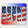 American Flag (Panel Design) Mouse Pad