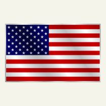 American Flag Poster posters