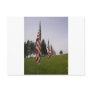 American flags in a row postcard