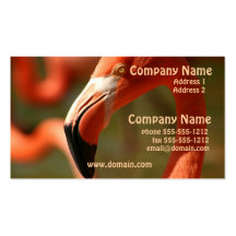 American Flamingo Business Card
