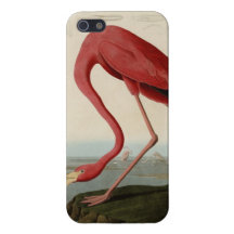 American Flamingo Case For iPhone 5