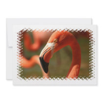 American Flamingo Invitation
