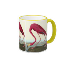 American Flamingo, John James Audubon Mug
