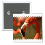 American Flamingo Pin