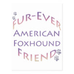 American Foxhound Furever Postcard