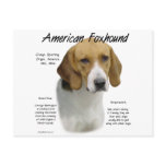 American Foxhound History Design Postcard