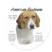 American Foxhound History Design