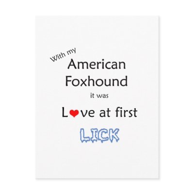 American Foxhound Lick Design Post Card by GreyWolfCreation
