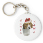 American Foxhound Santa Paws