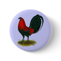 American Gamecock:  Brown Red