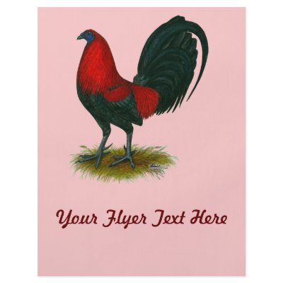 American Gamecock:  Brown Red by diane_jacky