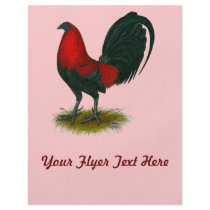 American Gamecock:  Brown Red