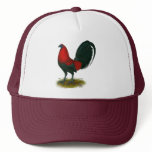 American Gamecock:  Brown Red