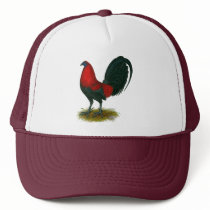 American Gamecock:  Brown Red