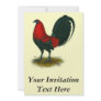 American Gamecock:  Brown Red