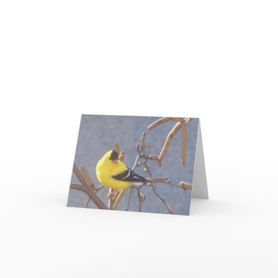 American Goldfinch Note Card by OurEnchantedGarden