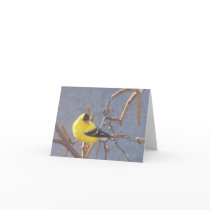 American Goldfinch Note Card