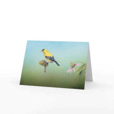 American Goldfinch Notecards - Tim Larson by wildlifeartist