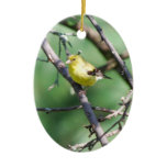 American Goldfinch ornaments