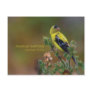 American Goldfinch Postcard