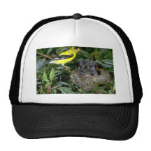 American Goldfinch with young Mesh Hat