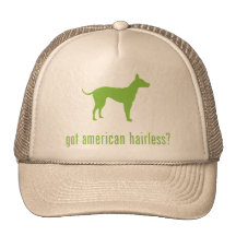 American Hairless Terrier Hats
