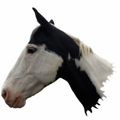 American Indian Painted Horse Head Sculpted Gift by RavenSpiritPrints