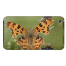 American Lady Butterfly iTouch Case iPod Case-Mate Cases