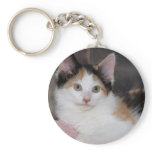 American Mediumhair Calico Shelter Kitten Keychain