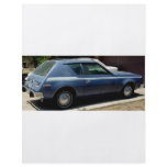 AMERICAN MOTORS JAVELIN AND GRAMLIN AND CACTI PERSONALIZED FLYER