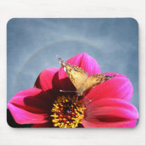 American Painted Lady 2~ mousepad