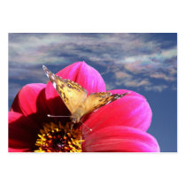 American Painted Lady 4 ~ ATC
