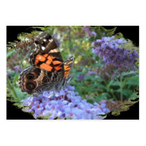 American Painted Lady ~ ATC Business Card